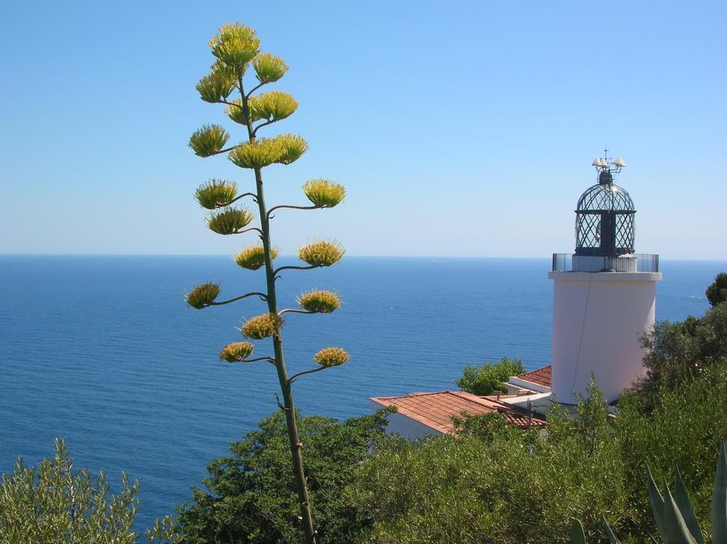 Apartament Antic Plankton - Calella Palafrugell - Free Parking, Beach, Wifi, Perfect Holidays Calella De Palafrugell Extérieur photo