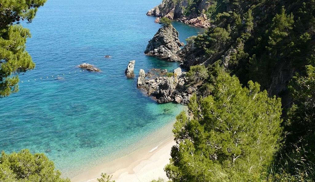 Apartament Antic Plankton - Calella Palafrugell - Free Parking, Beach, Wifi, Perfect Holidays Calella De Palafrugell Extérieur photo
